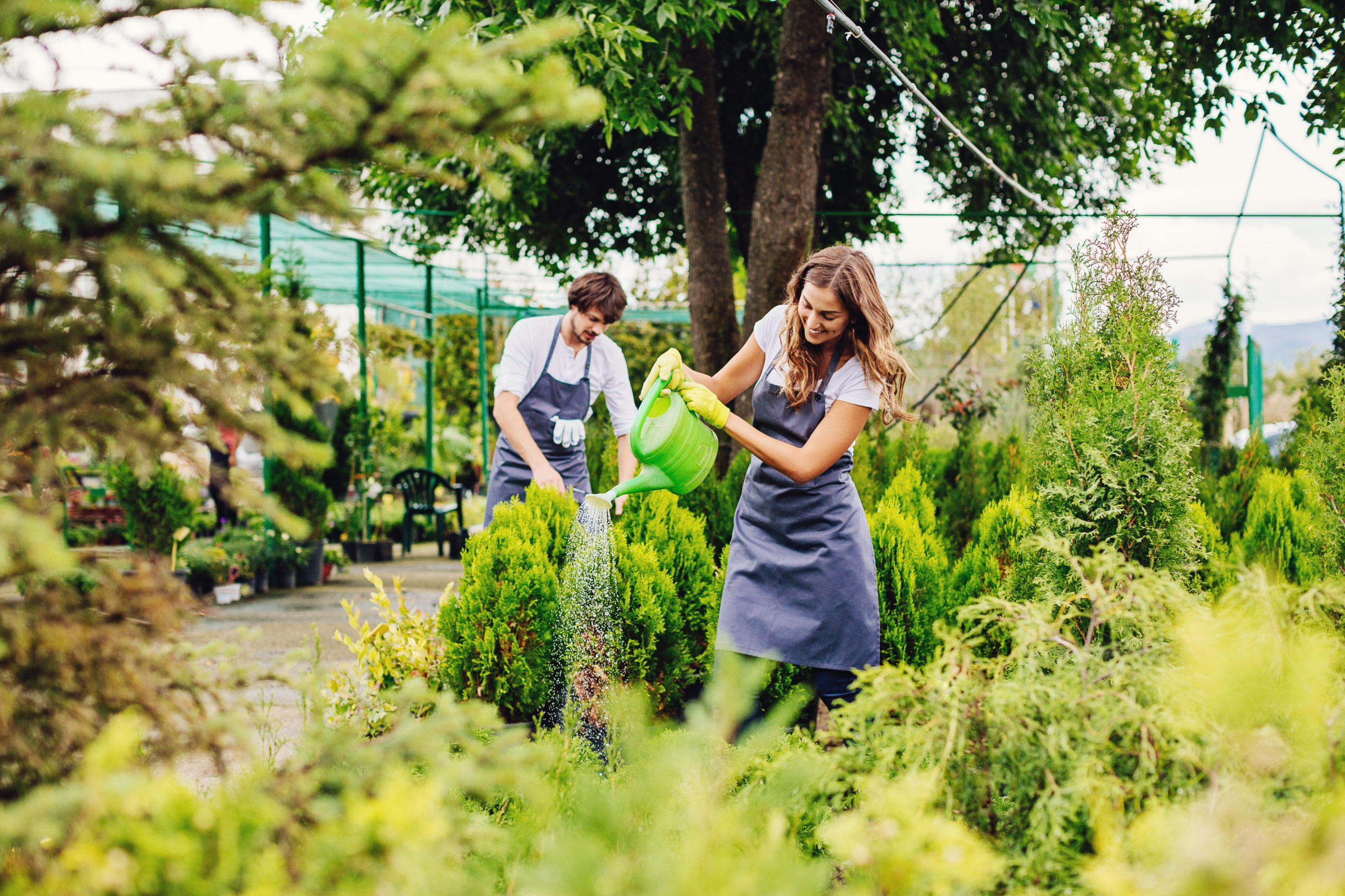 Vi gir deg oversikten over hva du kan forvente å få betalt for den jobben du utfører. Foto: Istock