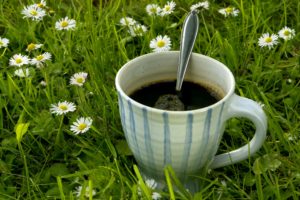 En kopp kaffe i gresset. Hage. Plen. Gress. Grønt. Grønn. Sommer. Blomster. Fritid. Ferie. Sommerferie. Slappe av. Varmt. Drikk. Drikke. Symbol. Idé.