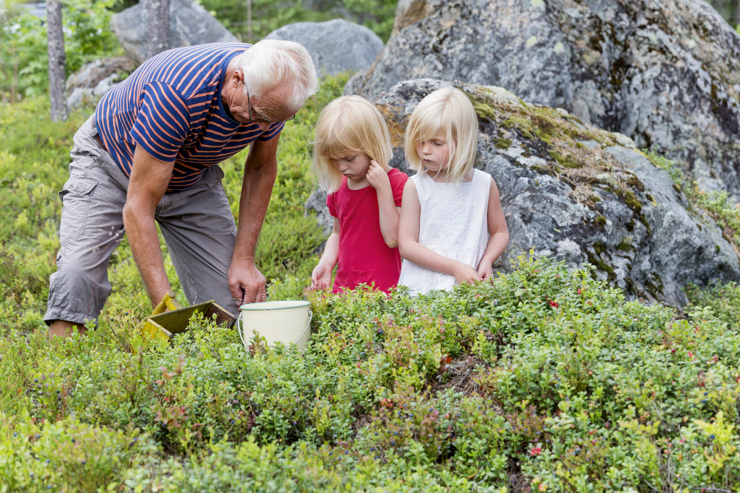 En godt utviklet velferdsstat er et tegn på et godt og trygt samfunn. Foto: Jörgen Wiklund/Scandinav