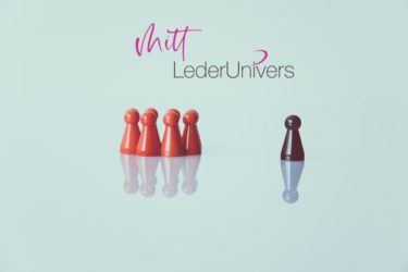 Mitt Lederunivers
